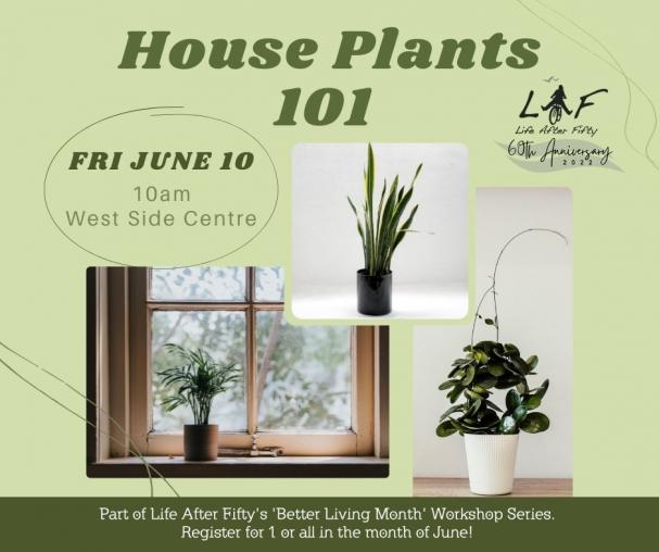 Houseplants 101: Better Living Workshop Series
